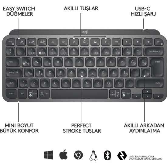 Logitech MX Keys Mini Q 920-010504 Kablosuz Klavye